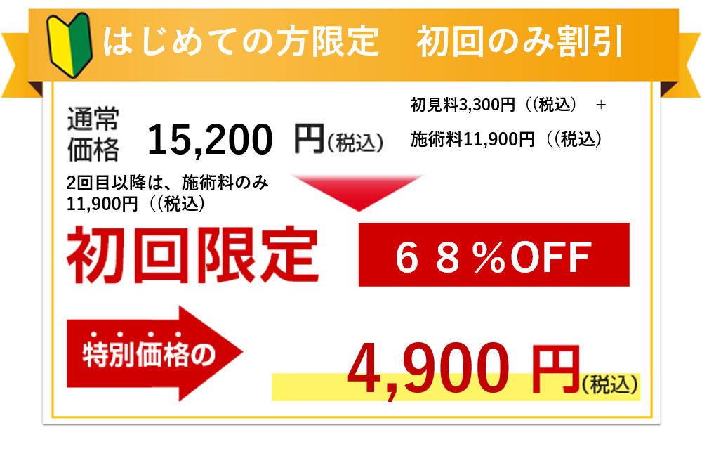 初回限定　４９００円（(税込)